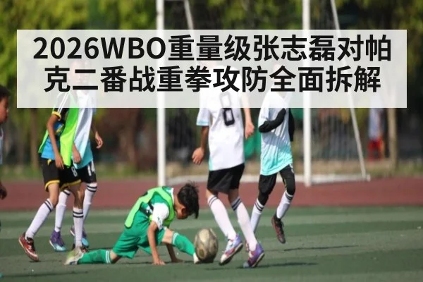 2026WBO重量级张志磊对帕克二番战重拳攻防全面拆解