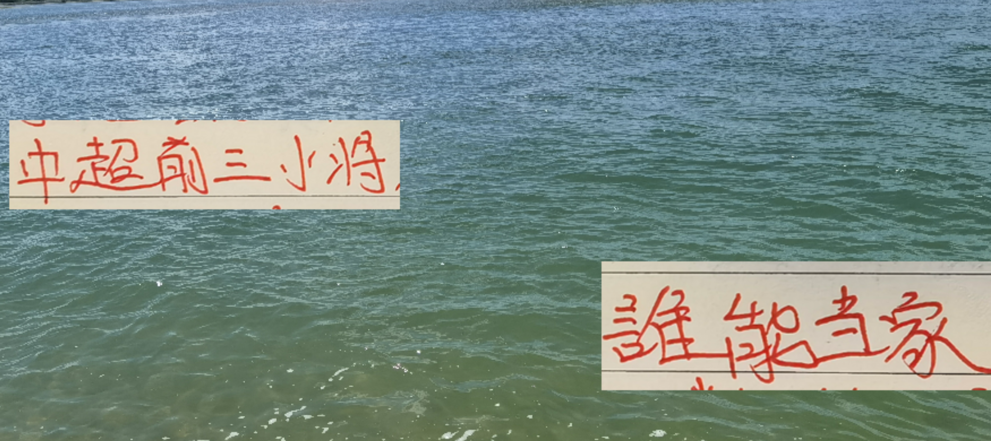 中超前3名谁能夺冠 看申花刘诚宇 北京国安小范 海港小蒯能否当家